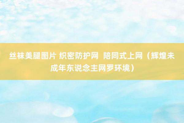 丝袜美腿图片 织密防护网  陪同式上网（辉煌未成年东说念主网罗环境）