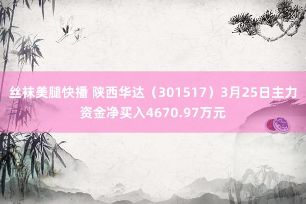 丝袜美腿快播 陕西华达（301517）3月25日主力资金净买入4670.97万元