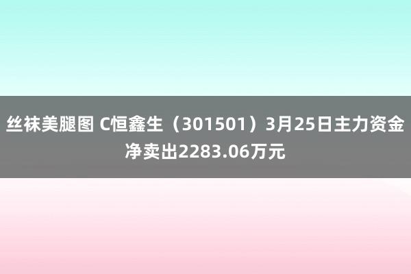 丝袜美腿图 C恒鑫生（301501）3月25日主力资金净卖出2283.06万元