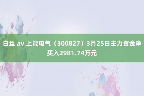 白丝 av 上能电气（300827）3月25日主力资金净买入2981.74万元