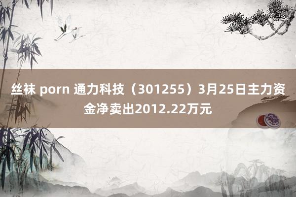 丝袜 porn 通力科技（301255）3月25日主力资金净卖出2012.22万元