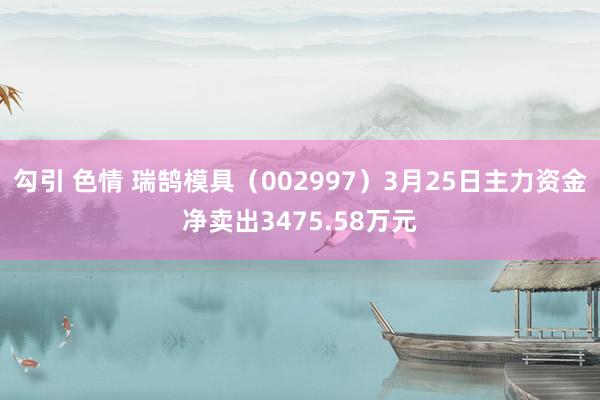 勾引 色情 瑞鹄模具（002997）3月25日主力资金净卖出3475.58万元