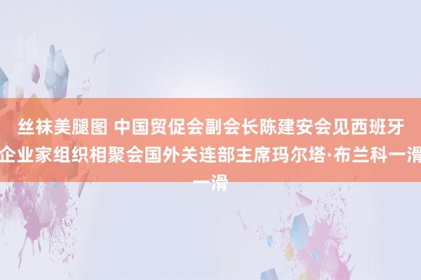 丝袜美腿图 中国贸促会副会长陈建安会见西班牙企业家组织相聚会国外关连部主席玛尔塔·布兰科一滑