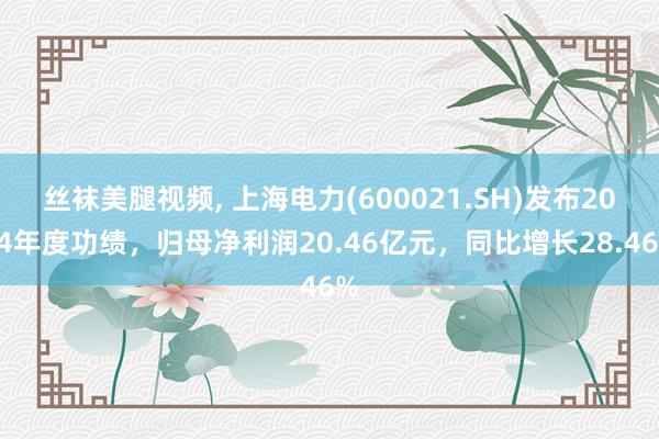丝袜美腿视频, 上海电力(600021.SH)发布2024年度功绩，归母净利润20.46亿元，同比增长28.46%