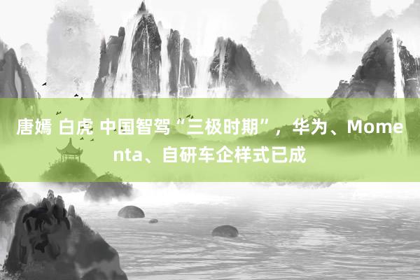 唐嫣 白虎 中国智驾“三极时期”，华为、Momenta、自研车企样式已成