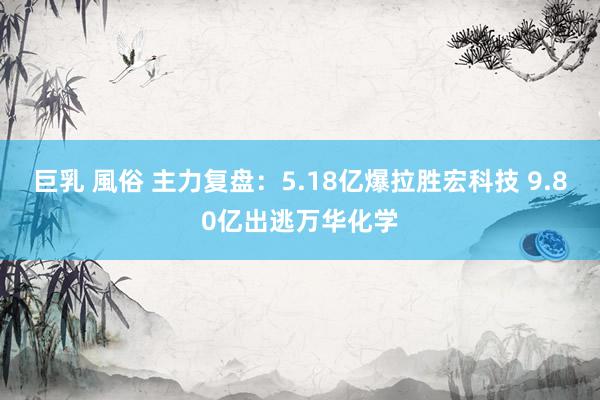 巨乳 風俗 主力复盘：5.18亿爆拉胜宏科技 9.80亿出逃万华化学