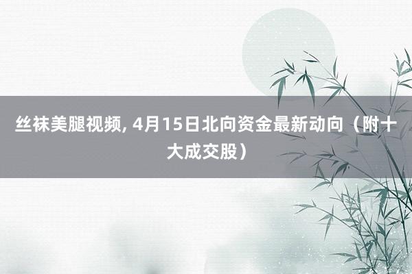 丝袜美腿视频, 4月15日北向资金最新动向（附十大成交股）