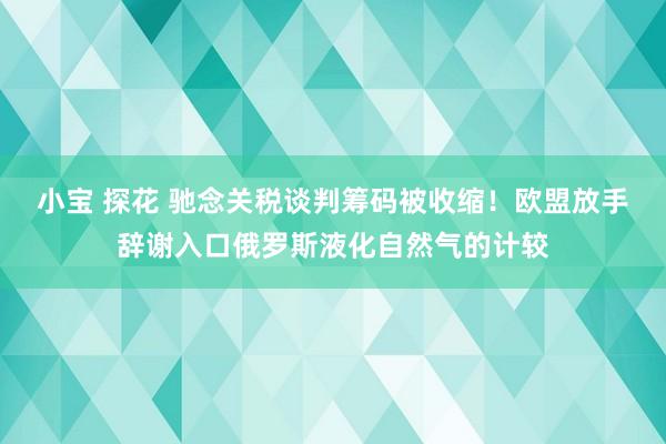 小宝 探花 驰念关税谈判筹码被收缩！欧盟放手辞谢入口俄罗斯液化自然气的计较