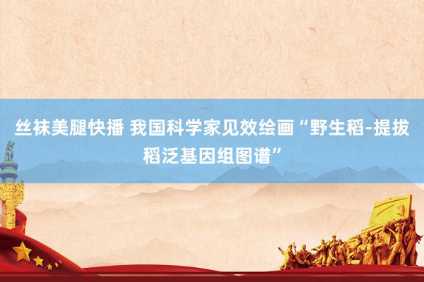 丝袜美腿快播 我国科学家见效绘画“野生稻-提拔稻泛基因组图谱”