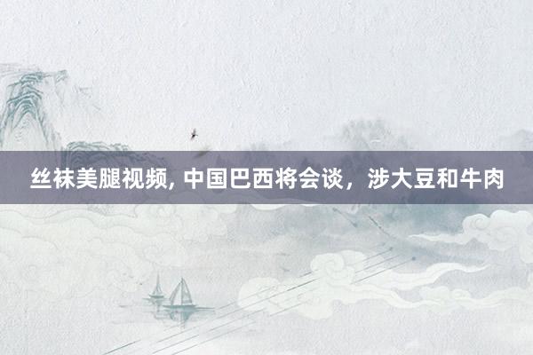 丝袜美腿视频, 中国巴西将会谈，涉大豆和牛肉