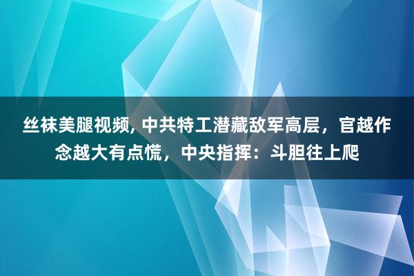 丝袜美腿视频, 中共特工潜藏敌军高层，官越作念越大有点慌，中央指挥：斗胆往上爬