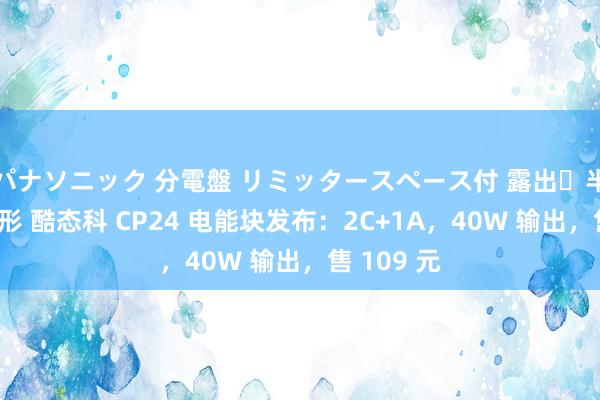 パナソニック 分電盤 リミッタースペース付 露出・半埋込両用形 酷态科 CP24 电能块发布：2C+1A，40W 输出，售 109 元
