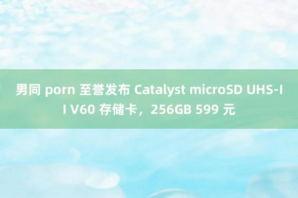 男同 porn 至誉发布 Catalyst microSD UHS-II V60 存储卡，256GB 599 元