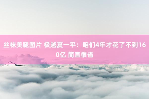 丝袜美腿图片 极越夏一平：咱们4年才花了不到160亿 简直很省