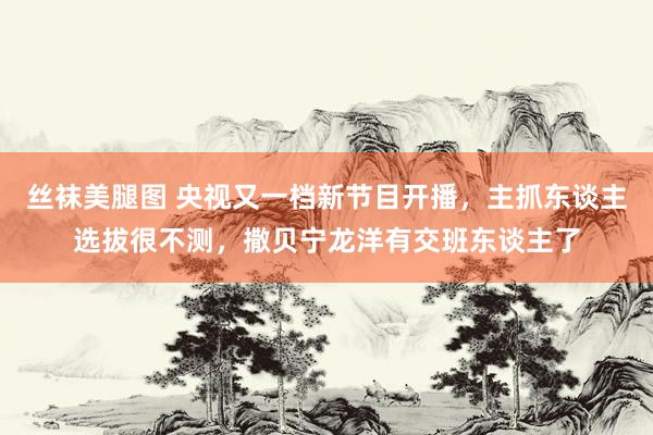 丝袜美腿图 央视又一档新节目开播，主抓东谈主选拔很不测，撒贝宁龙洋有交班东谈主了