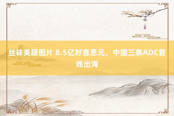 丝袜美腿图片 8.5亿好意思元，中国三条ADC管线出海
