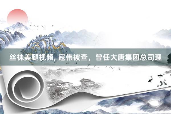 丝袜美腿视频, 寇伟被查，曾任大唐集团总司理