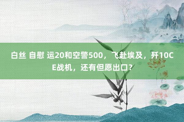 白丝 自慰 运20和空警500，飞赴埃及，歼10CE战机，还有但愿出口？