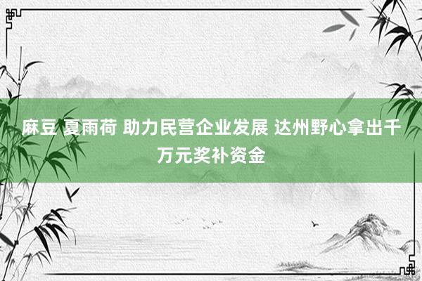 麻豆 夏雨荷 助力民营企业发展 达州野心拿出千万元奖补资金