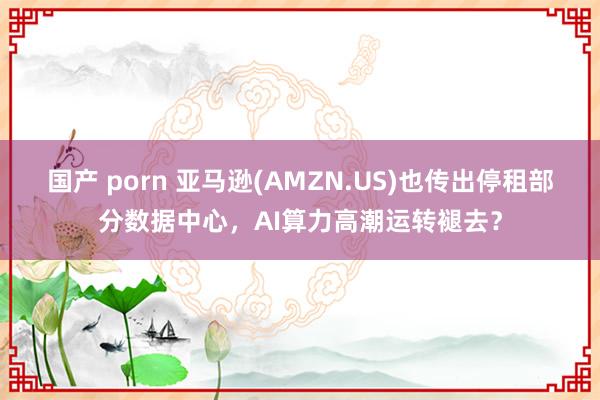 国产 porn 亚马逊(AMZN.US)也传出停租部分数据中心，AI算力高潮运转褪去？