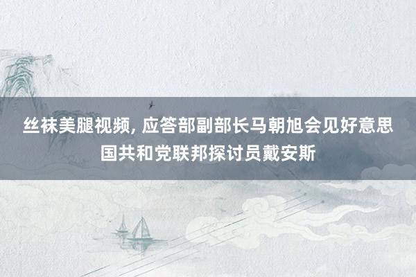 丝袜美腿视频， 应答部副部长马朝旭会见好意思国共和党联邦探讨员戴安斯
