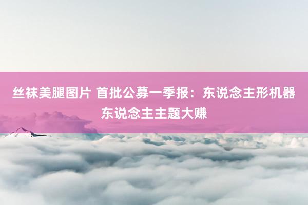 丝袜美腿图片 首批公募一季报：东说念主形机器东说念主主题大赚