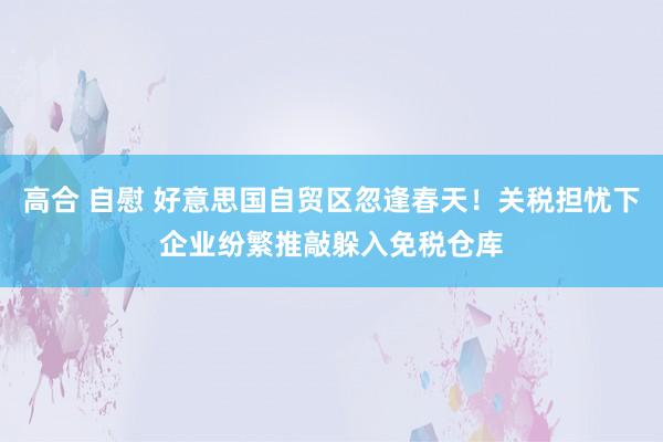 高合 自慰 好意思国自贸区忽逢春天！关税担忧下企业纷繁推敲躲入免税仓库