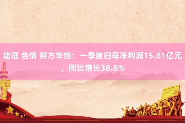 动漫 色情 朔方华创：一季度归母净利润15.81亿元，同比增长38.8%