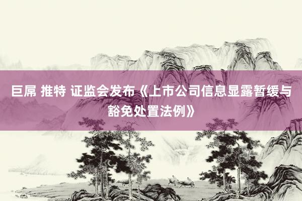 巨屌 推特 证监会发布《上市公司信息显露暂缓与豁免处置法例》